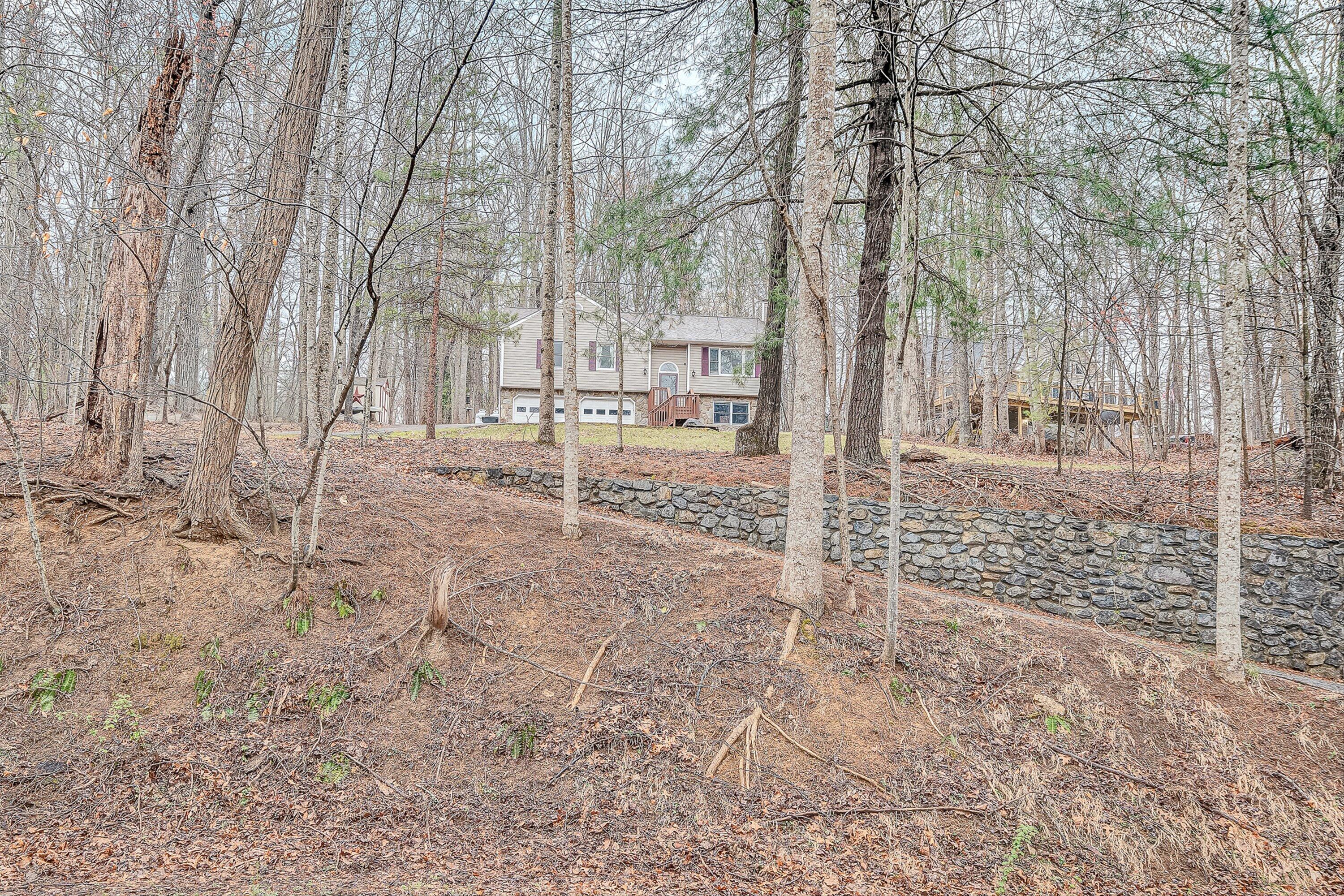 769 Lakeshore Terrace Road Hardy, VA 24101 - Photo 38 of 38 a view of a yard with trees on the wall