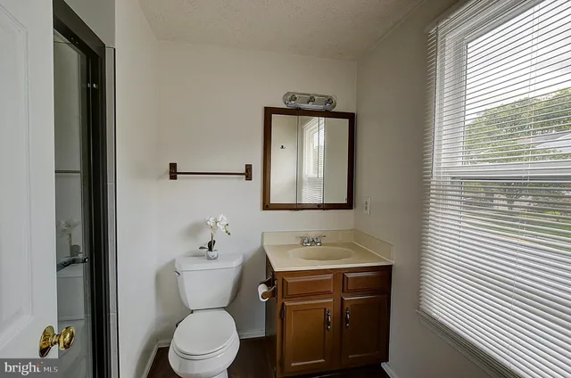 a bathroom with a toilet a sink and mirror