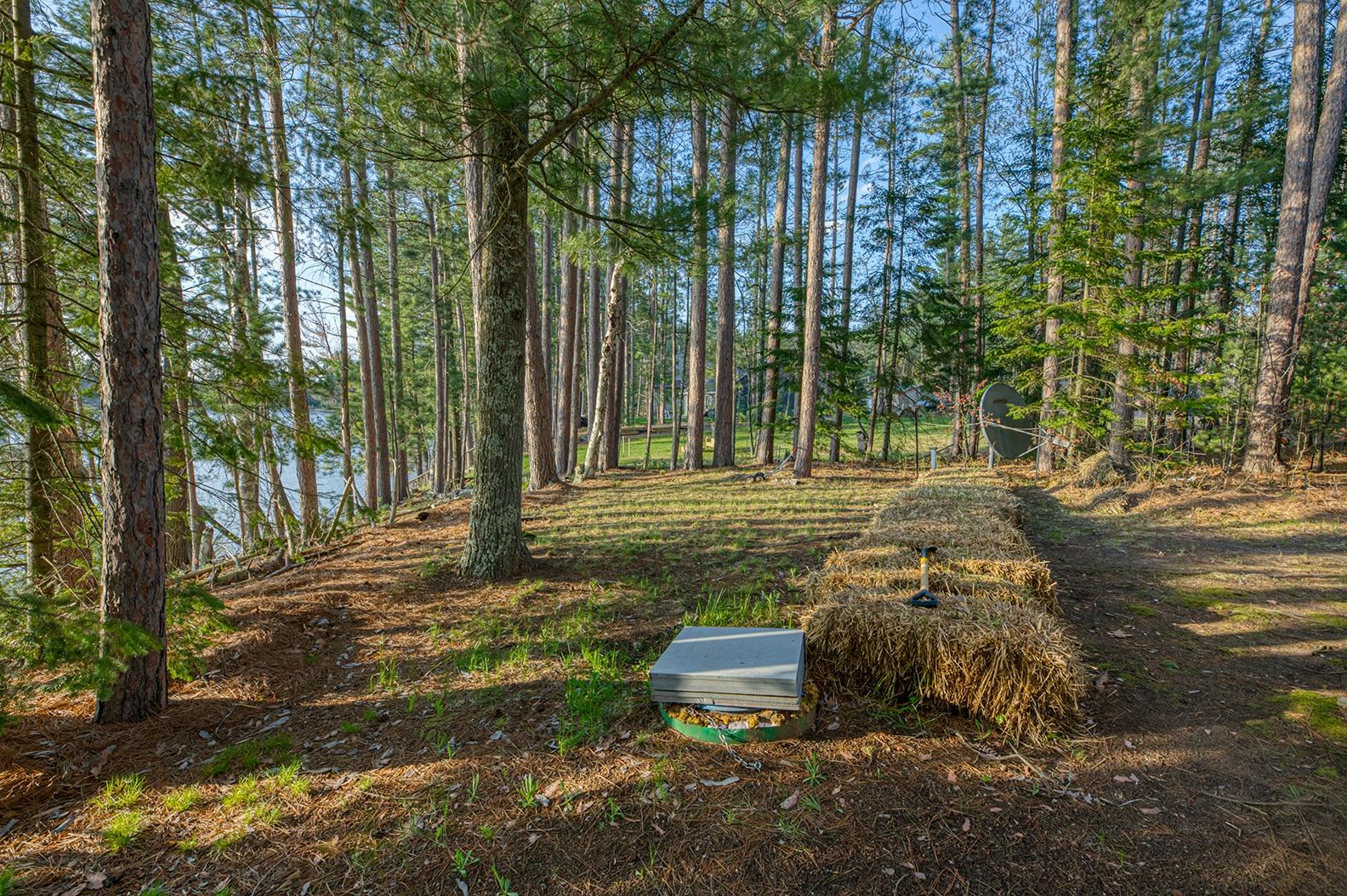 5335 Headquarters Trail Rhinelander, WI 54501 - Photo 13 of 24 Gallery Image 13