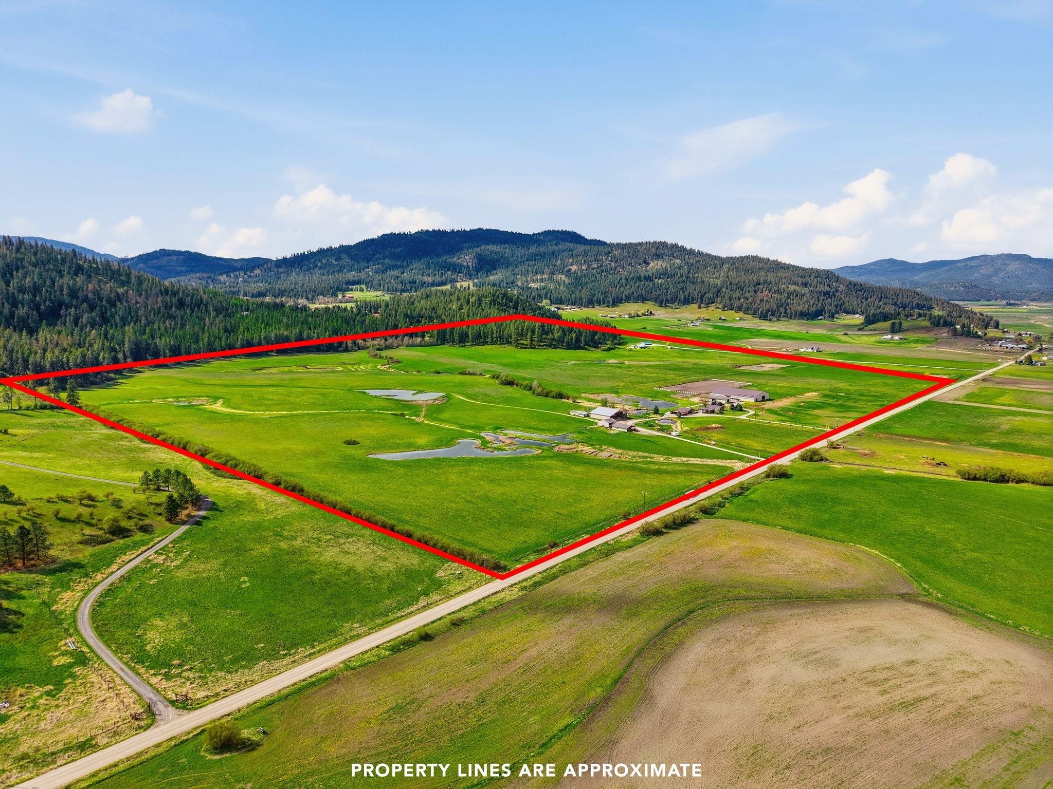 2536 Heine Road Chewelah, WA 99109 - Photo 4 of 50