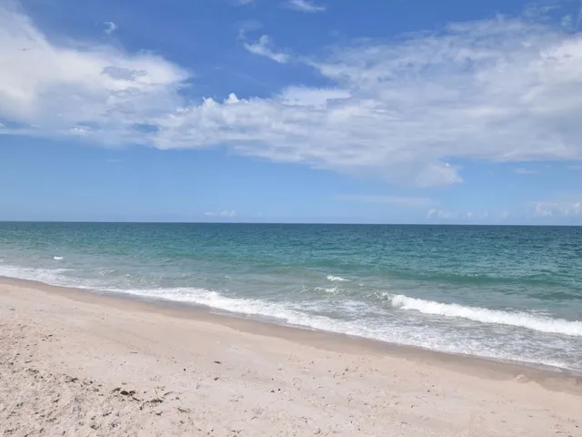 a view of beach and ocean