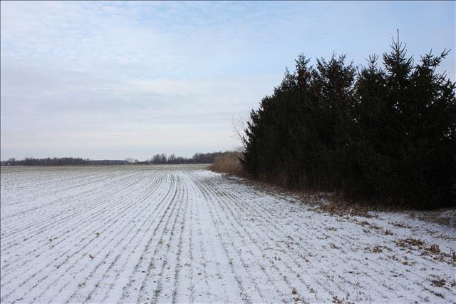 438 Rauch Road Temperance, MI 48182 - Photo 14 of 19 20388653-13.JPG