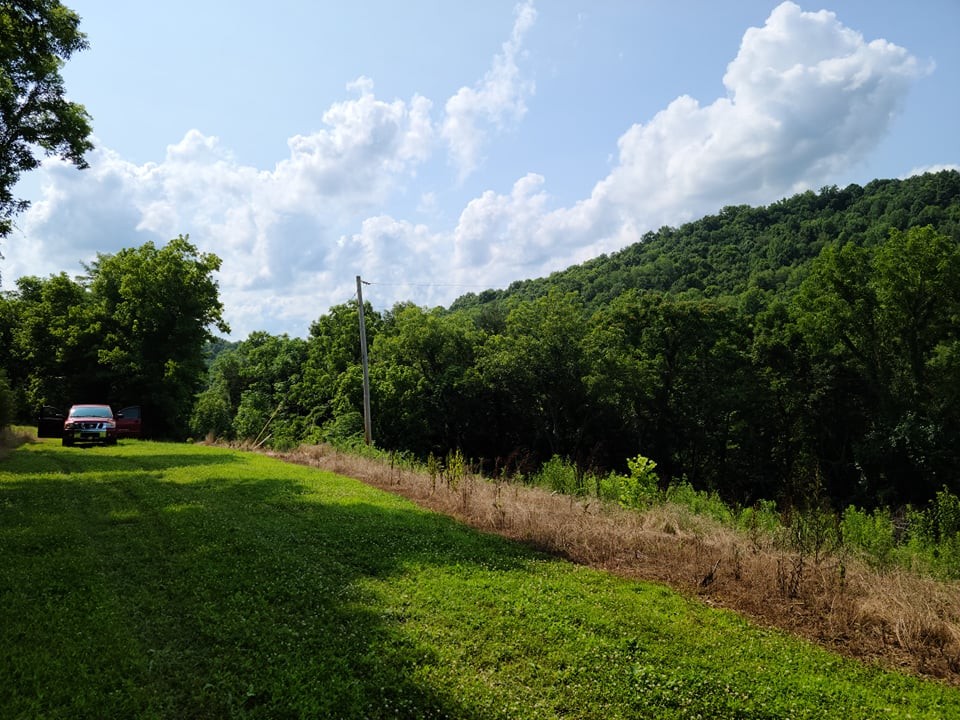 56 Chapman Hollow Road Dowelltown, TN 37059 - Photo 2 of 14 Gallery Image 2