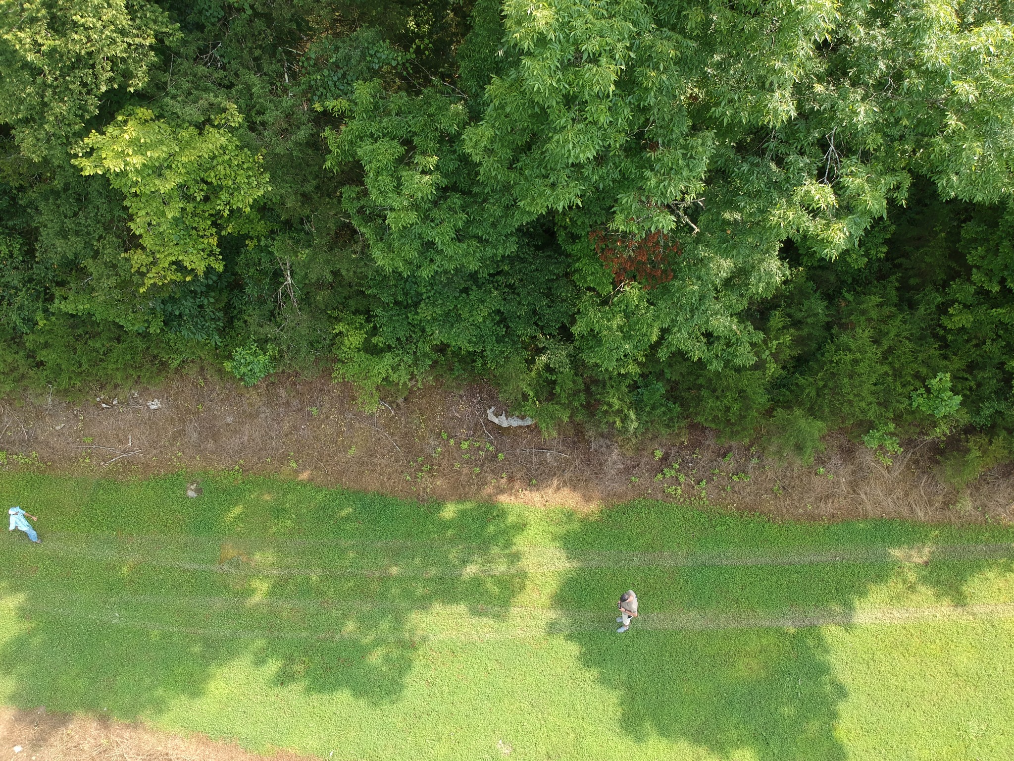 56 Chapman Hollow Road Dowelltown, TN 37059 - Photo 11 of 14 Gallery Image 11