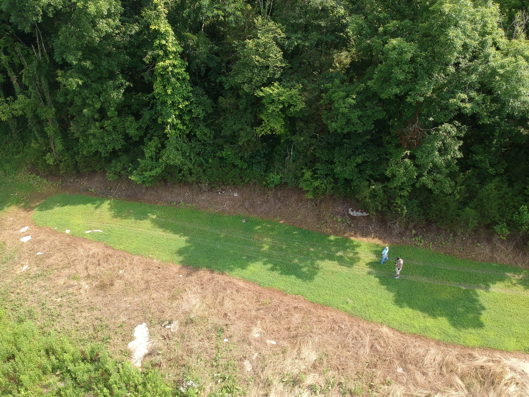 56 Chapman Hollow Road Dowelltown, TN 37059 - Photo 12 of 14 Gallery Image 12