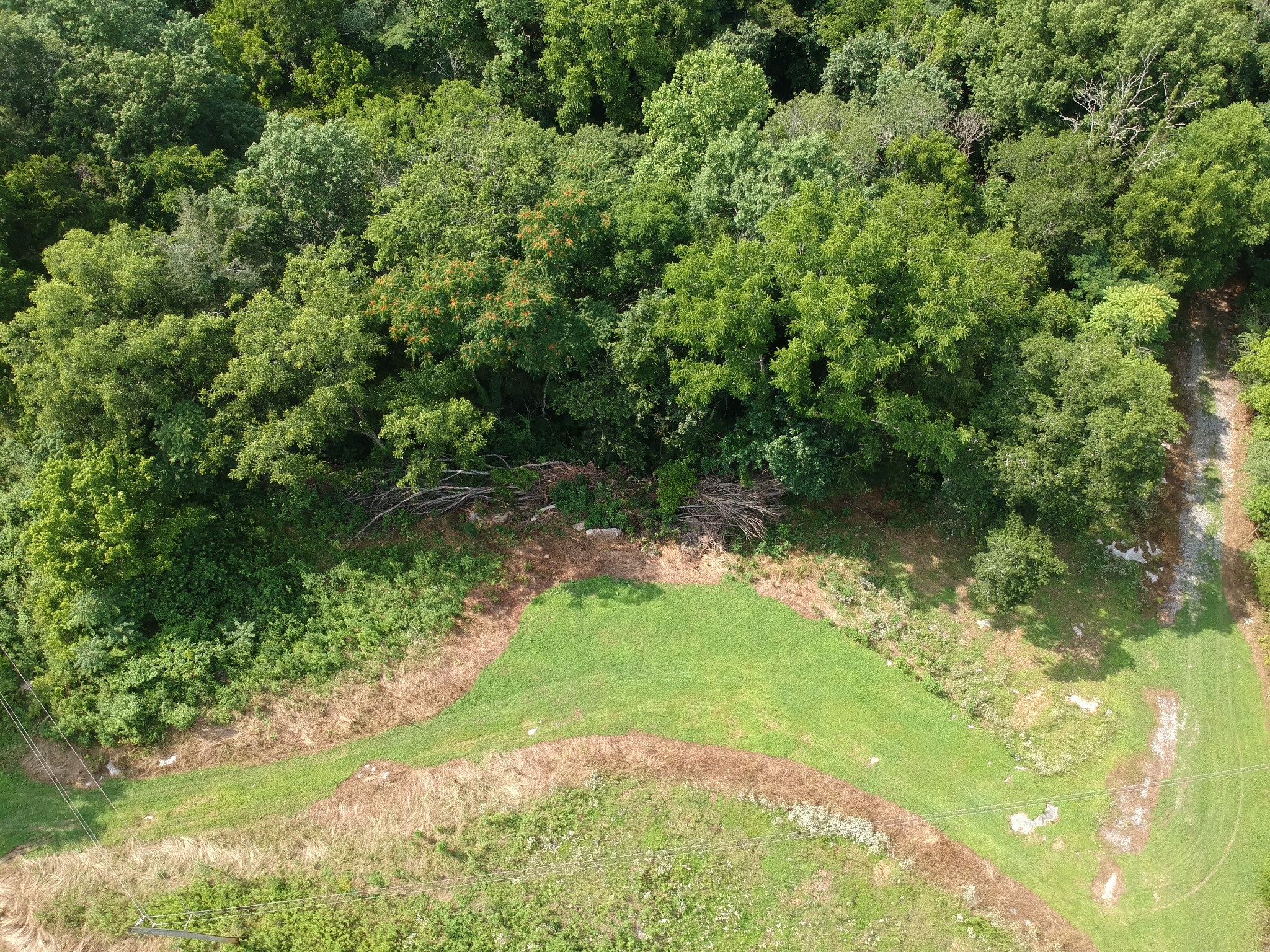 56 Chapman Hollow Road Dowelltown, TN 37059 - Photo 14 of 14 Gallery Image 14