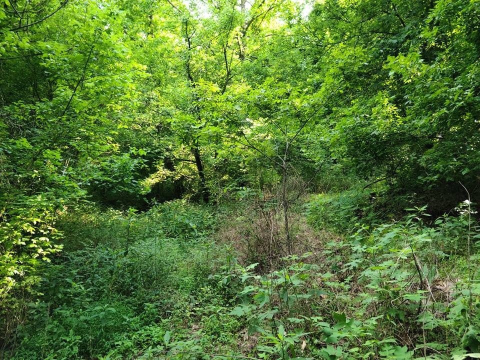 56 Chapman Hollow Road Dowelltown, TN 37059 - Photo 6 of 14 Gallery Image 6