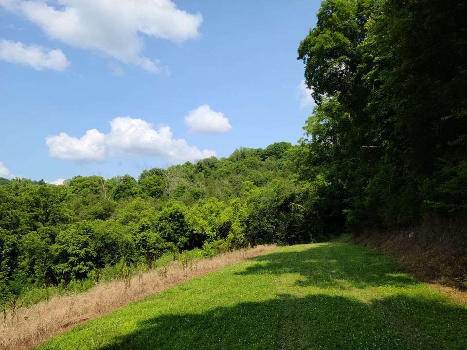 56 Chapman Hollow Road Dowelltown, TN 37059 - Photo 7 of 14 Gallery Image 7