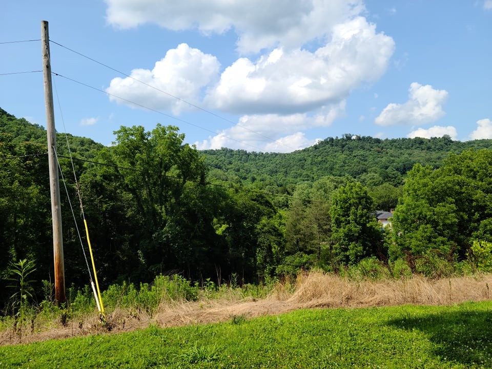 56 Chapman Hollow Road Dowelltown, TN 37059 - Photo 8 of 14 Gallery Image 8