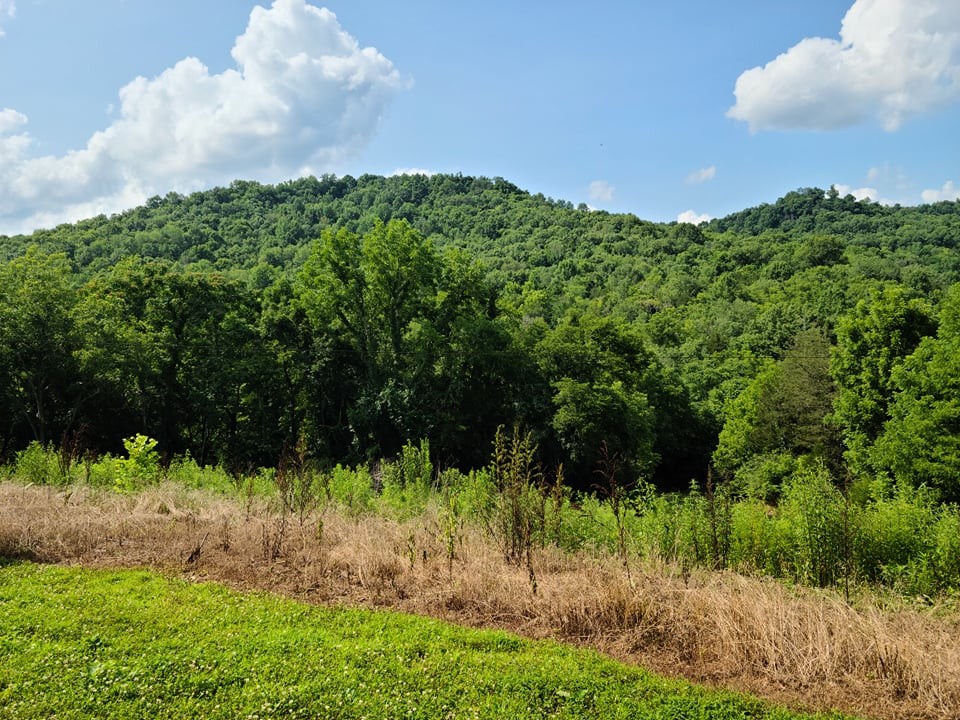 56 Chapman Hollow Road Dowelltown, TN 37059 - Photo 9 of 14 Gallery Image 9