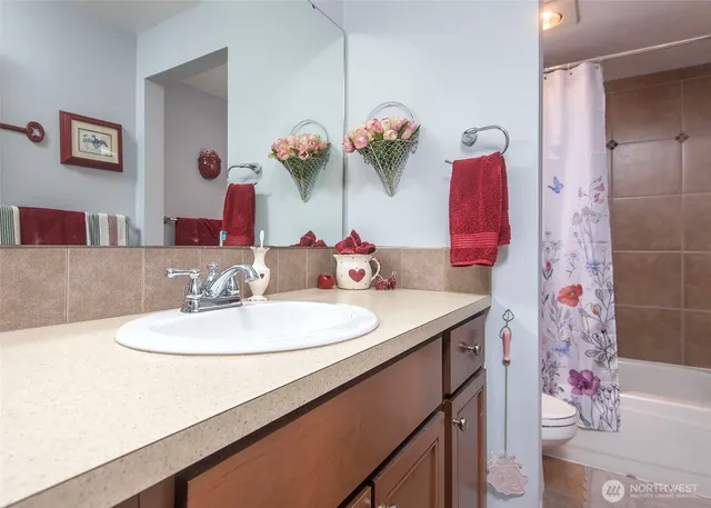 a bathroom with a sink mirror and vanity