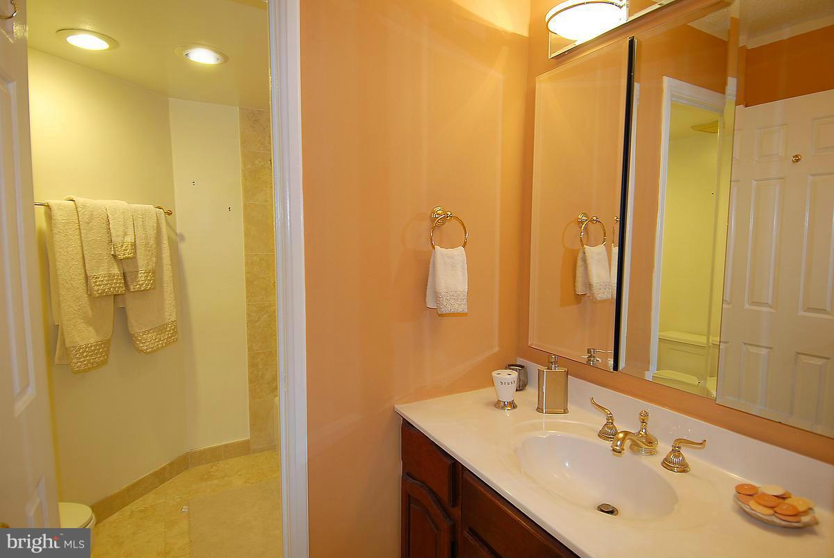 1077 30th Street Northwest, Unit 201 Washington, DC 20007 - Photo 10 of 16 Bath (Master)