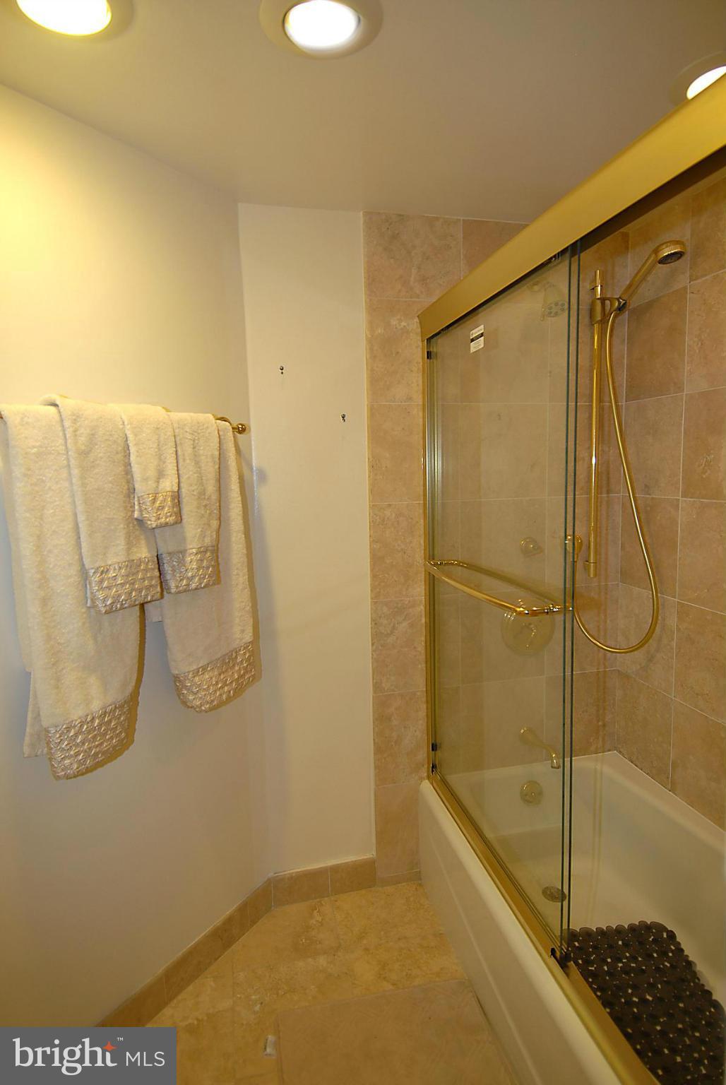 1077 30th Street Northwest, Unit 201 Washington, DC 20007 - Photo 11 of 16 Bath (Master)