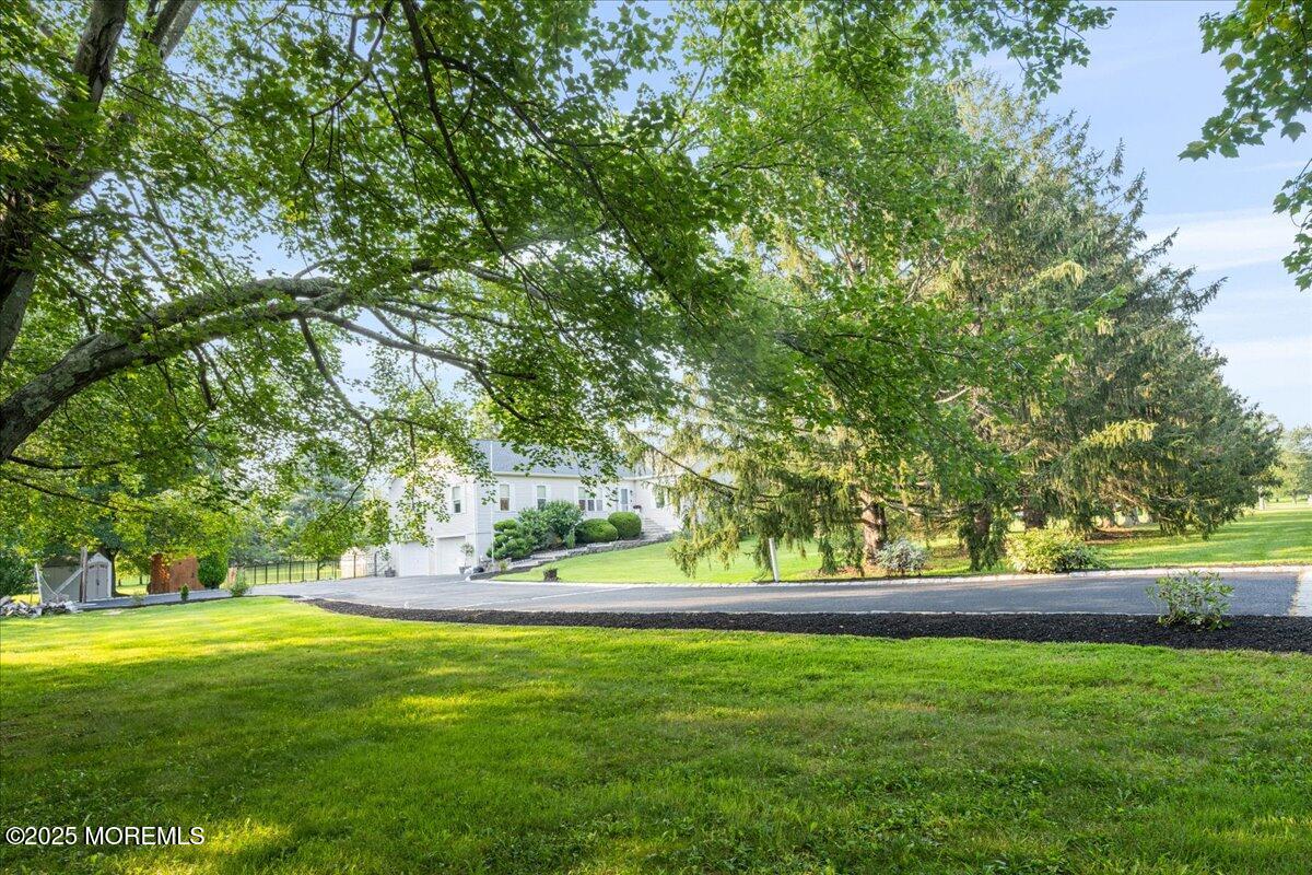 1621 Martin Road Neptune, NJ 07753 - Photo 5 of 54 a view of garden with trees
