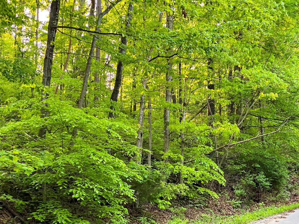24 Fielden Store Road New Market, TN 37820 - Photo 20 of 30 Gallery Image 20
