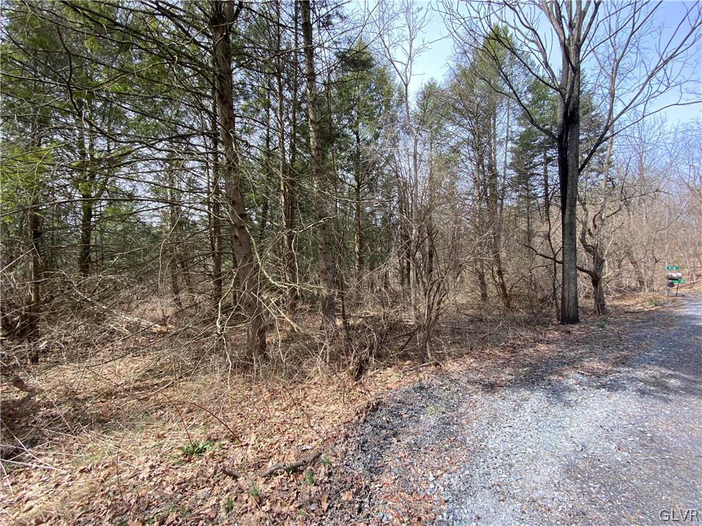 511 Club Road Bath, PA 18014 - Photo 2 of 6 Gallery Image 2