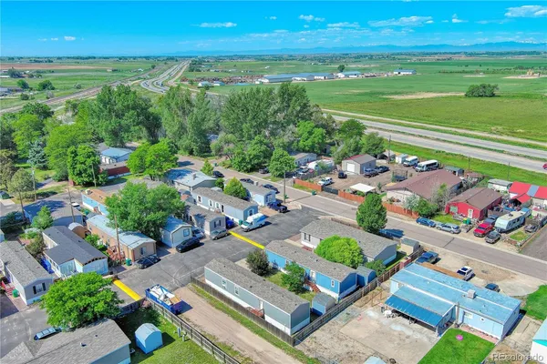 a view of a backyard with plants and outdoor seating