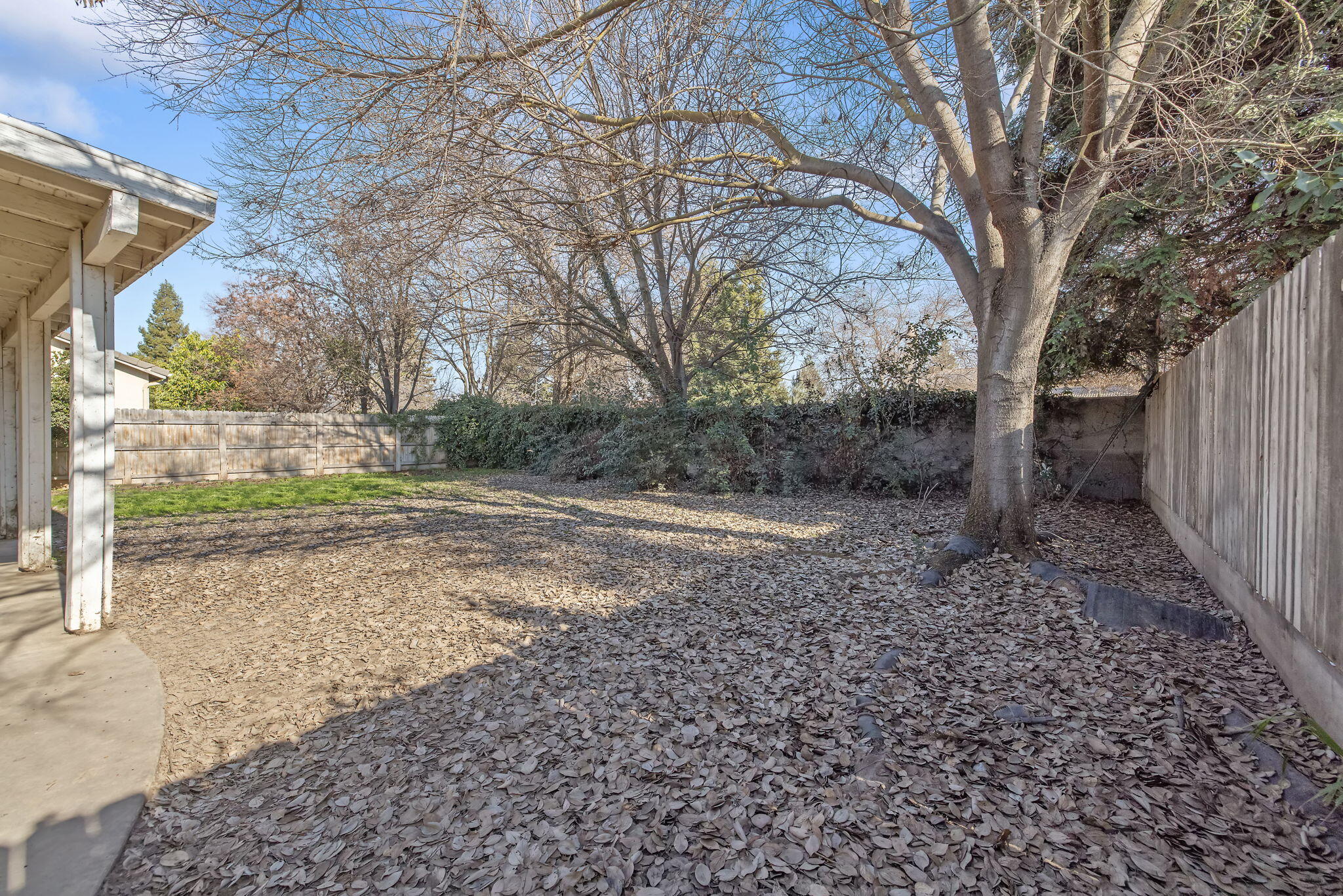 1932 Riesling Street Tulare, CA 93274 - Photo 32 of 34 32-web-or-mls-713A9010