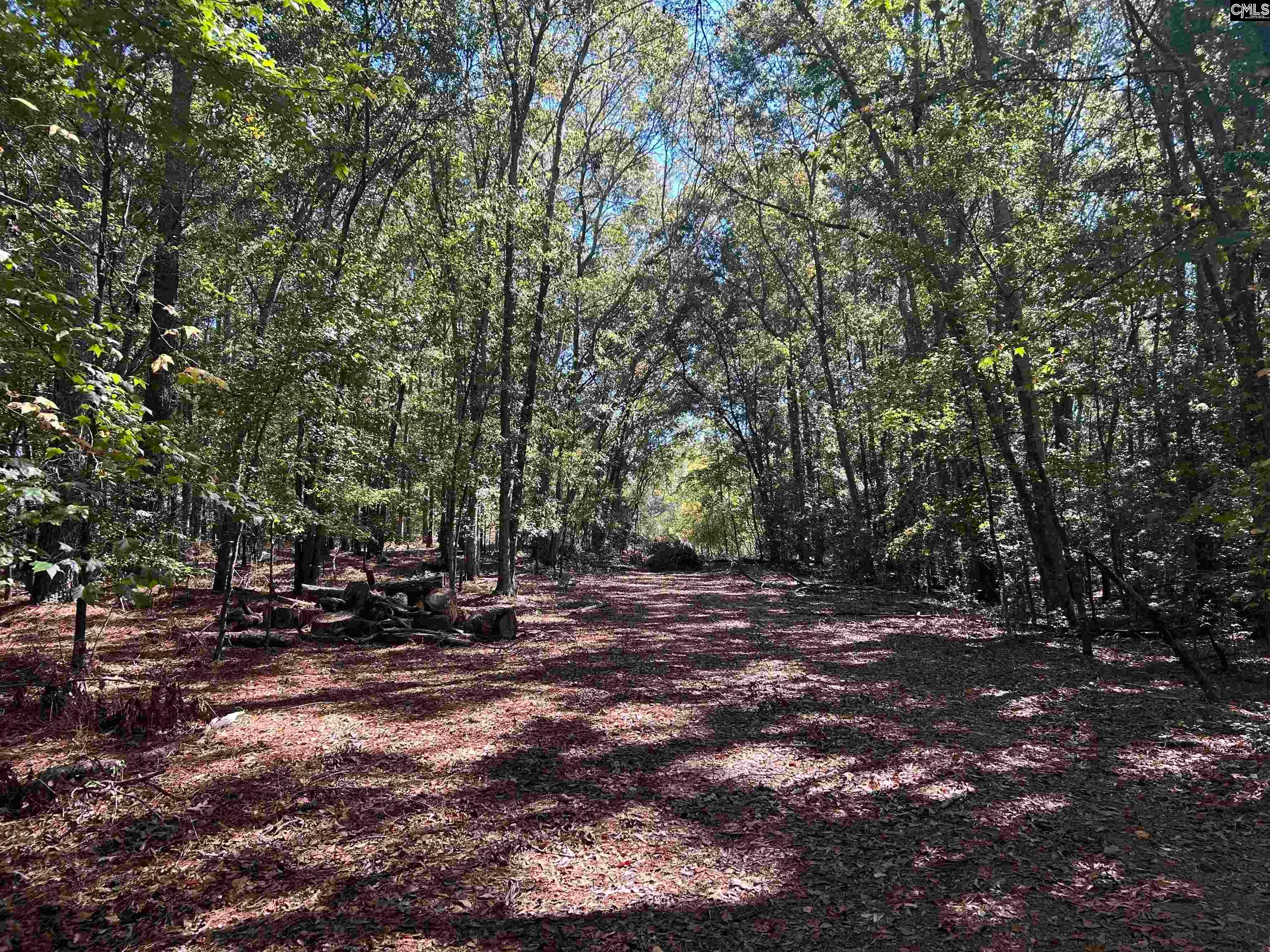 0 Swamp Rabbit Road Leesville, SC 29070 - Photo 6 of 55 Gallery Image 6