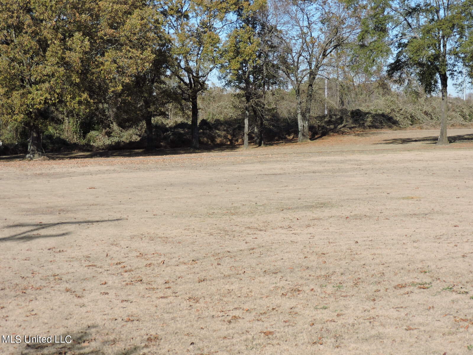 8780 Pleasant Hill Road Olive Branch, MS 38654 - Photo 11 of 44 DSCN4524