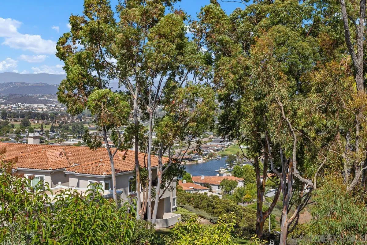 1201 Rue St Jean San Marcos, CA 92078 - Photo 36 of 73 a view of a large yard with plants and large trees
