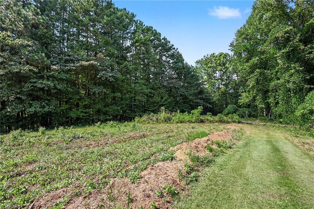 0 Goff Road King, NC 27021 - Photo 4 of 16 Gallery Image 4