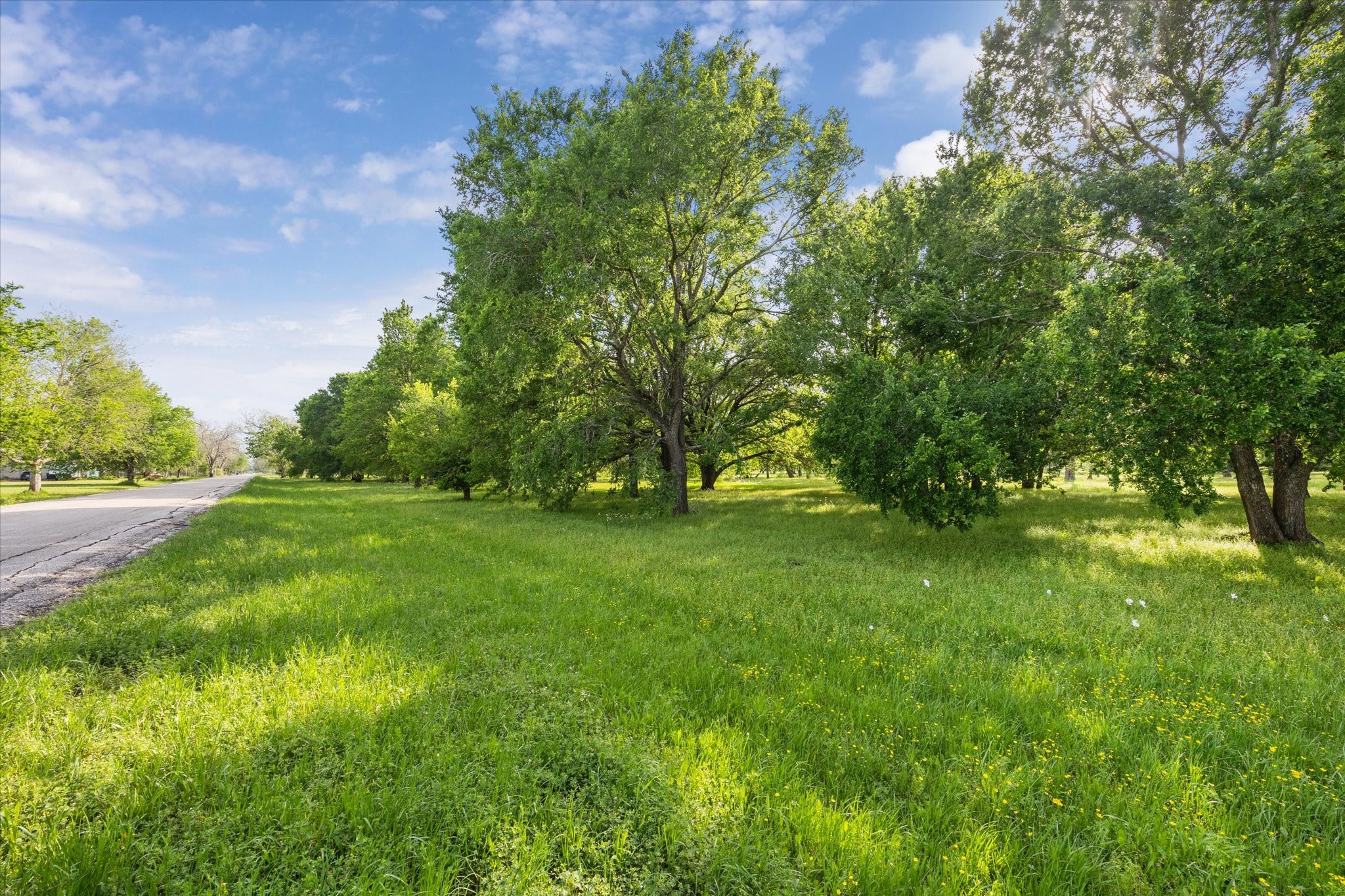 Lot 5-tbd Lot 5-tbd Cheyenne Road Wallis, TX 77485 - Photo 9 of 13 a view of green field with trees in the background