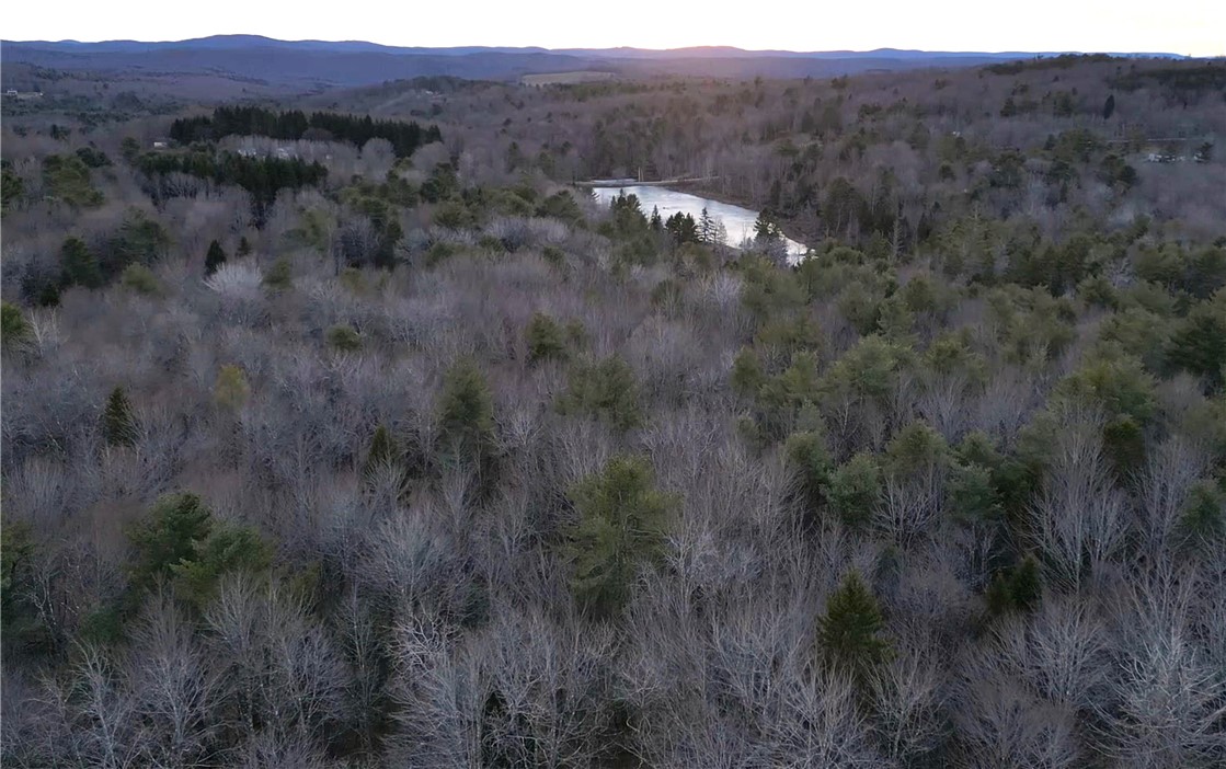 156 South Worcester Hill Road Jefferson, NY 12093 - Photo 11 of 50