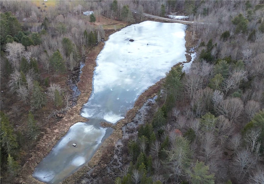 156 South Worcester Hill Road Jefferson, NY 12093 - Photo 12 of 50