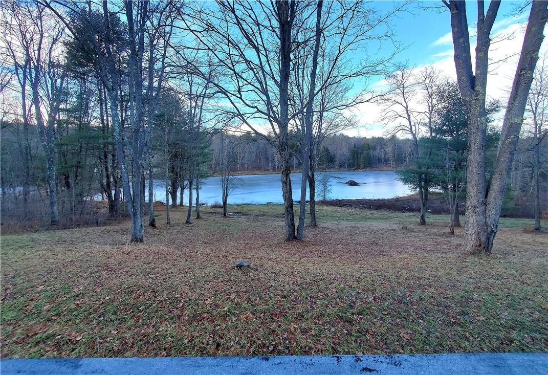 156 South Worcester Hill Road Jefferson, NY 12093 - Photo 29 of 50