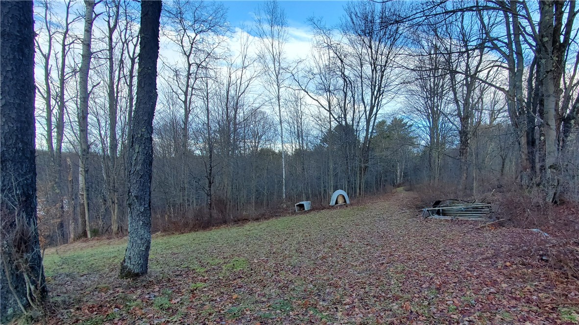 156 South Worcester Hill Road Jefferson, NY 12093 - Photo 30 of 50