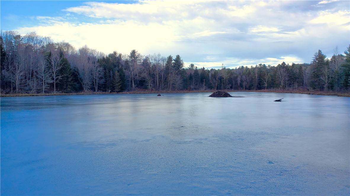 156 South Worcester Hill Road Jefferson, NY 12093 - Photo 31 of 50