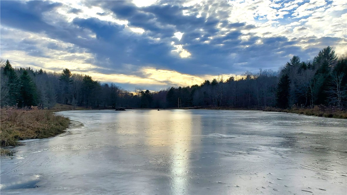 156 South Worcester Hill Road Jefferson, NY 12093 - Photo 32 of 50