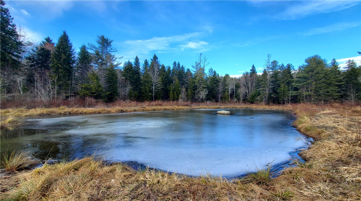 156 South Worcester Hill Road Jefferson, NY 12093 - Photo 33 of 50