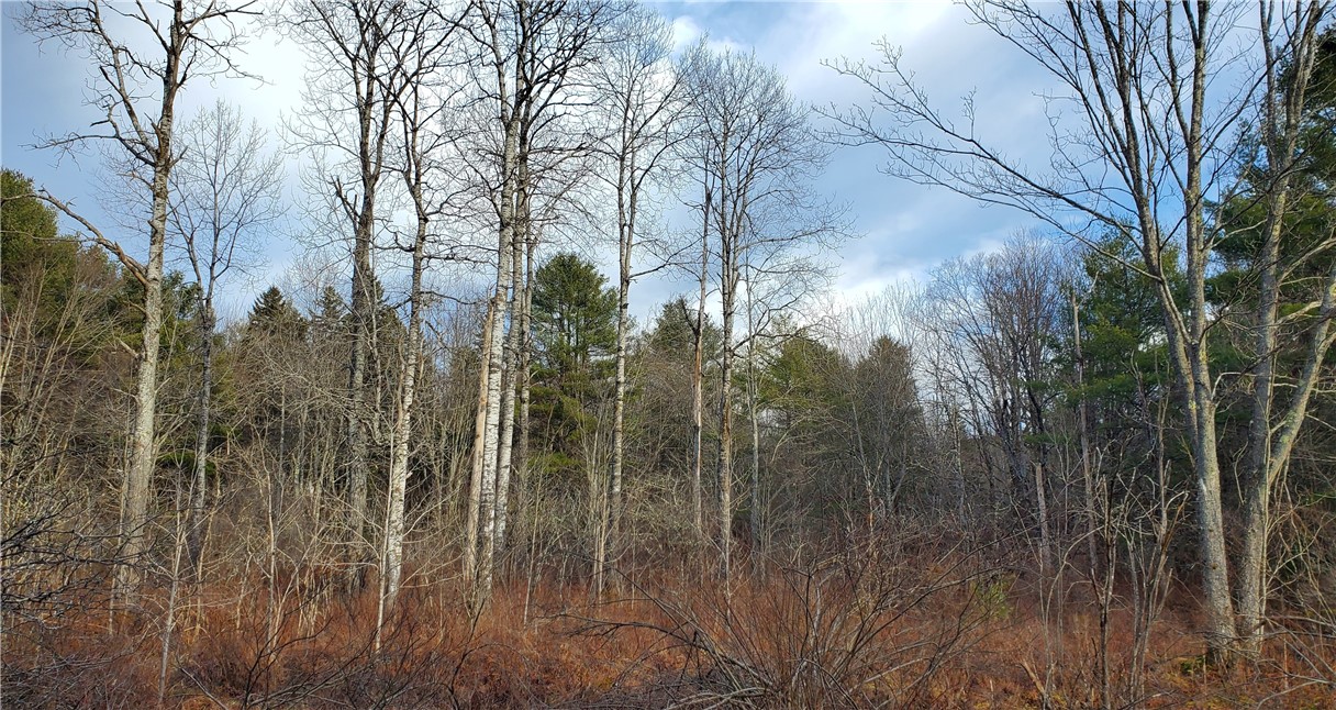 156 South Worcester Hill Road Jefferson, NY 12093 - Photo 34 of 50