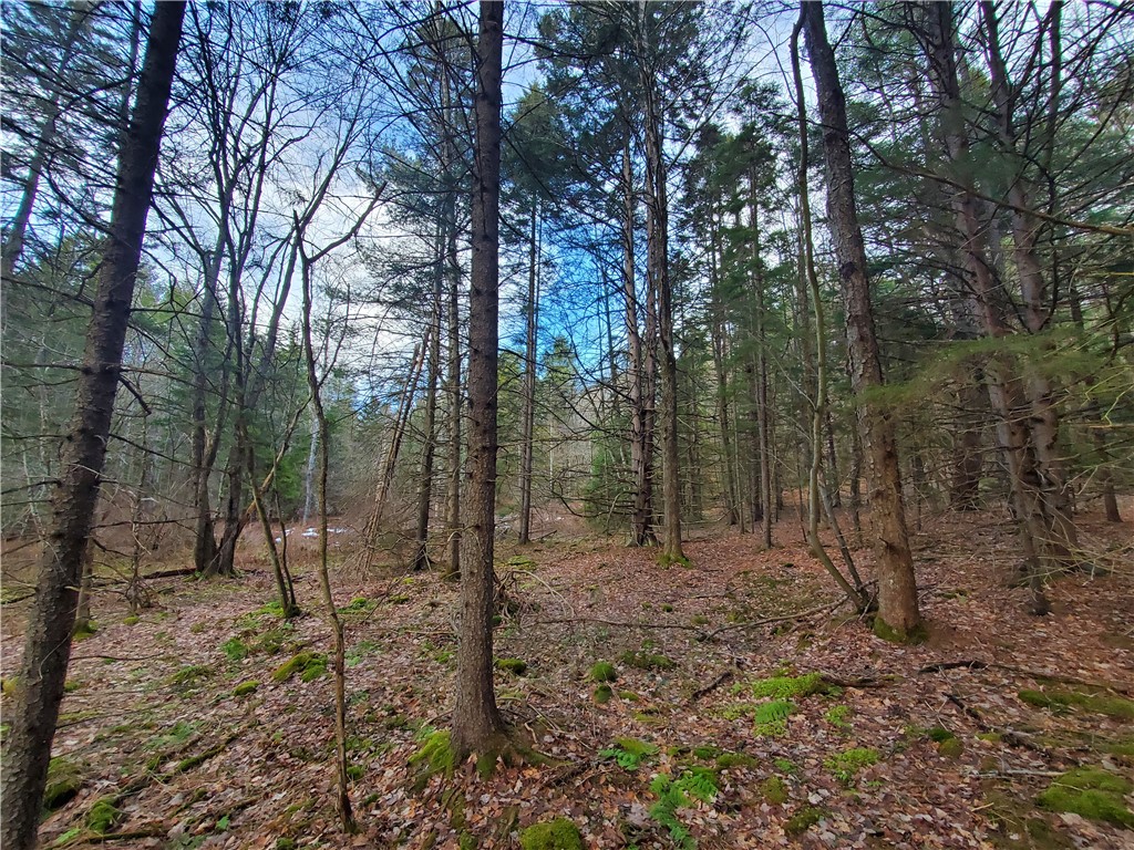 156 South Worcester Hill Road Jefferson, NY 12093 - Photo 35 of 50