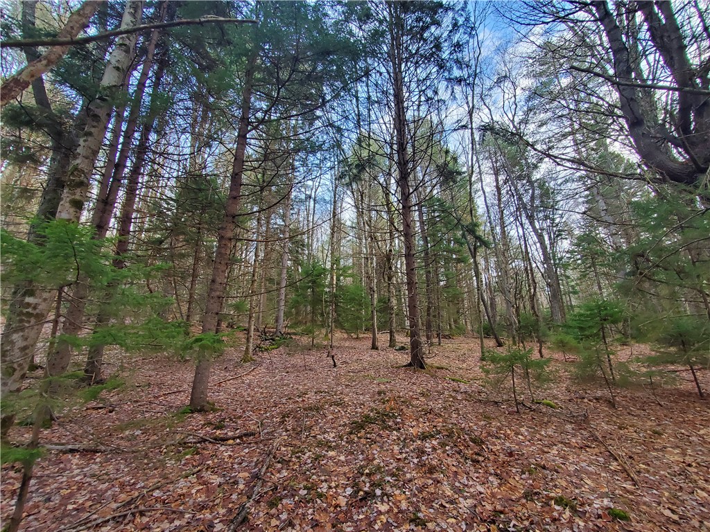 156 South Worcester Hill Road Jefferson, NY 12093 - Photo 36 of 50