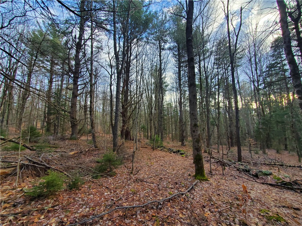 156 South Worcester Hill Road Jefferson, NY 12093 - Photo 37 of 50