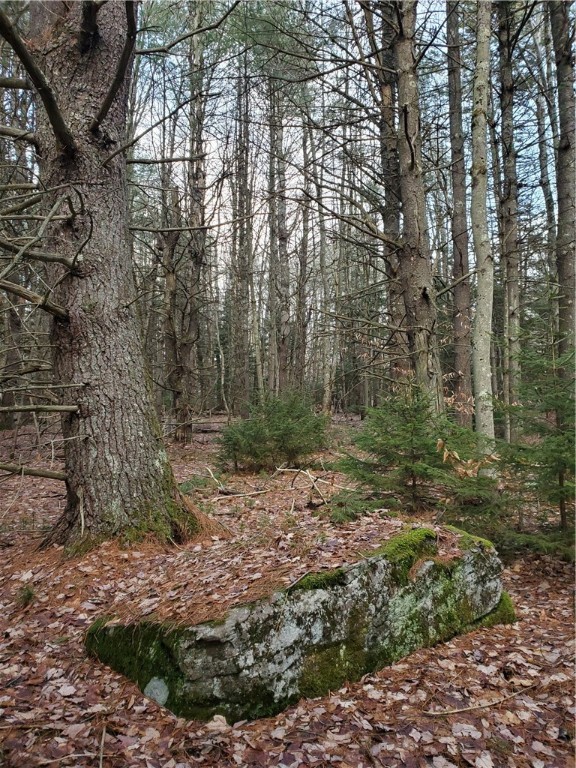 156 South Worcester Hill Road Jefferson, NY 12093 - Photo 38 of 50