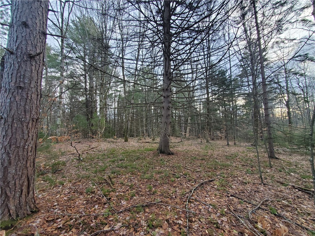 156 South Worcester Hill Road Jefferson, NY 12093 - Photo 39 of 50