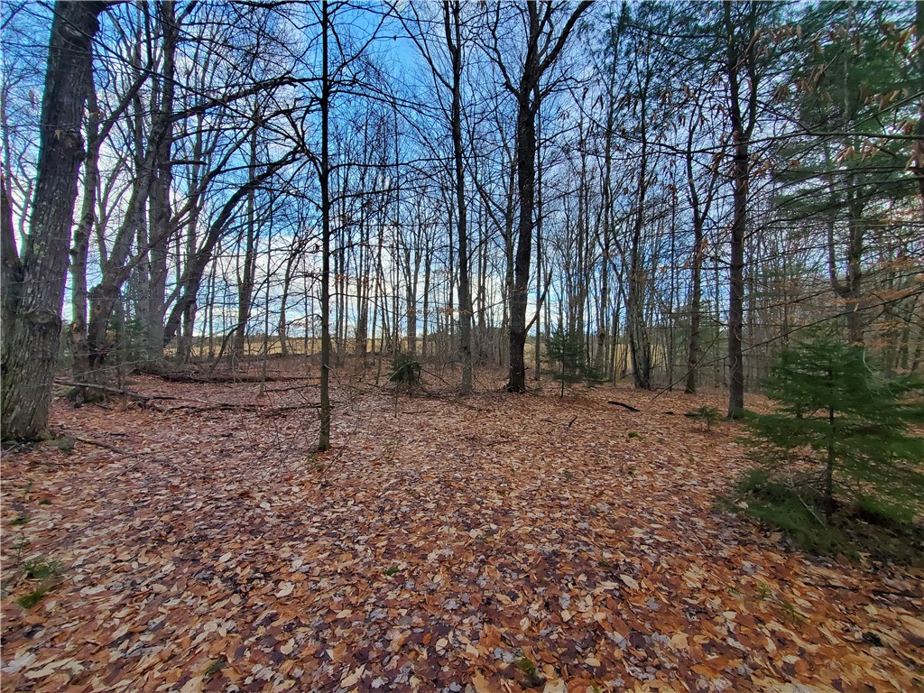 156 South Worcester Hill Road Jefferson, NY 12093 - Photo 40 of 50