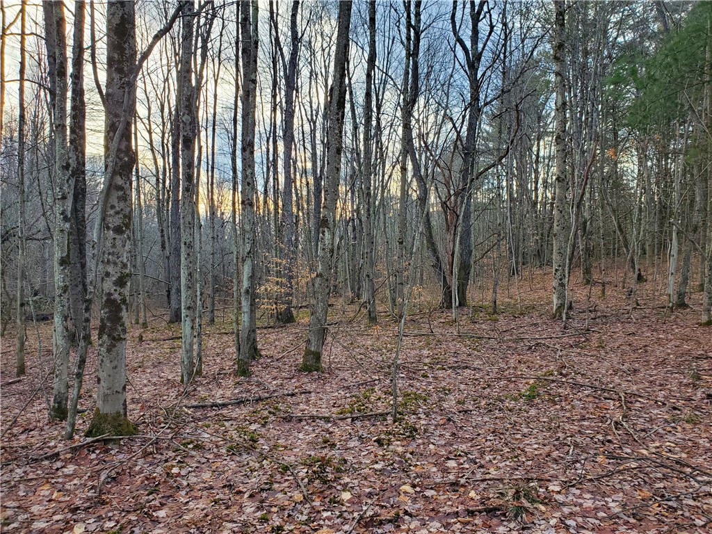 156 South Worcester Hill Road Jefferson, NY 12093 - Photo 41 of 50