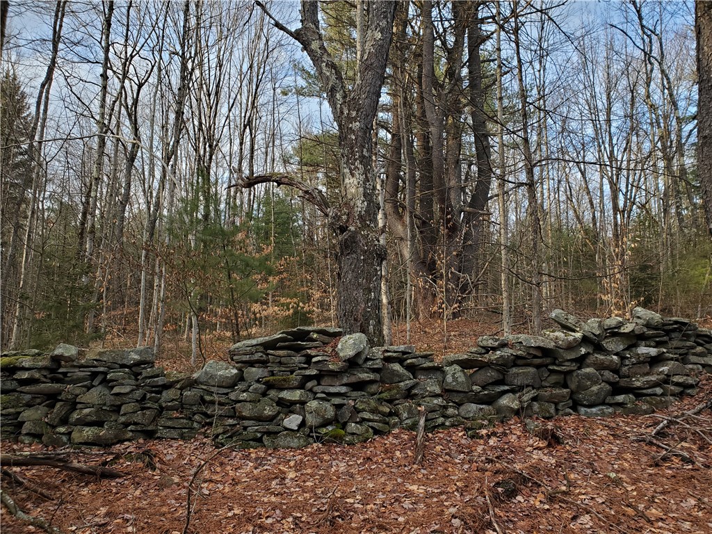 156 South Worcester Hill Road Jefferson, NY 12093 - Photo 43 of 50