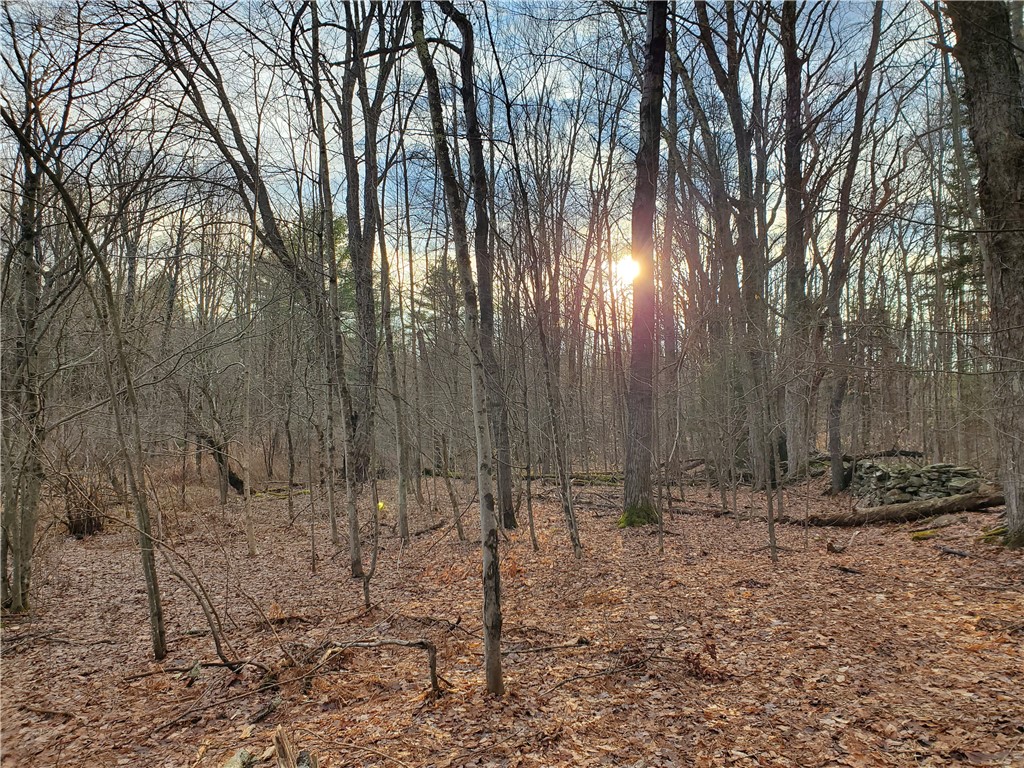 156 South Worcester Hill Road Jefferson, NY 12093 - Photo 44 of 50