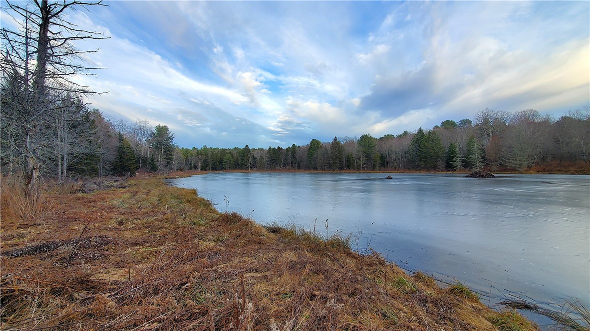 156 South Worcester Hill Road Jefferson, NY 12093 - Photo 48 of 50