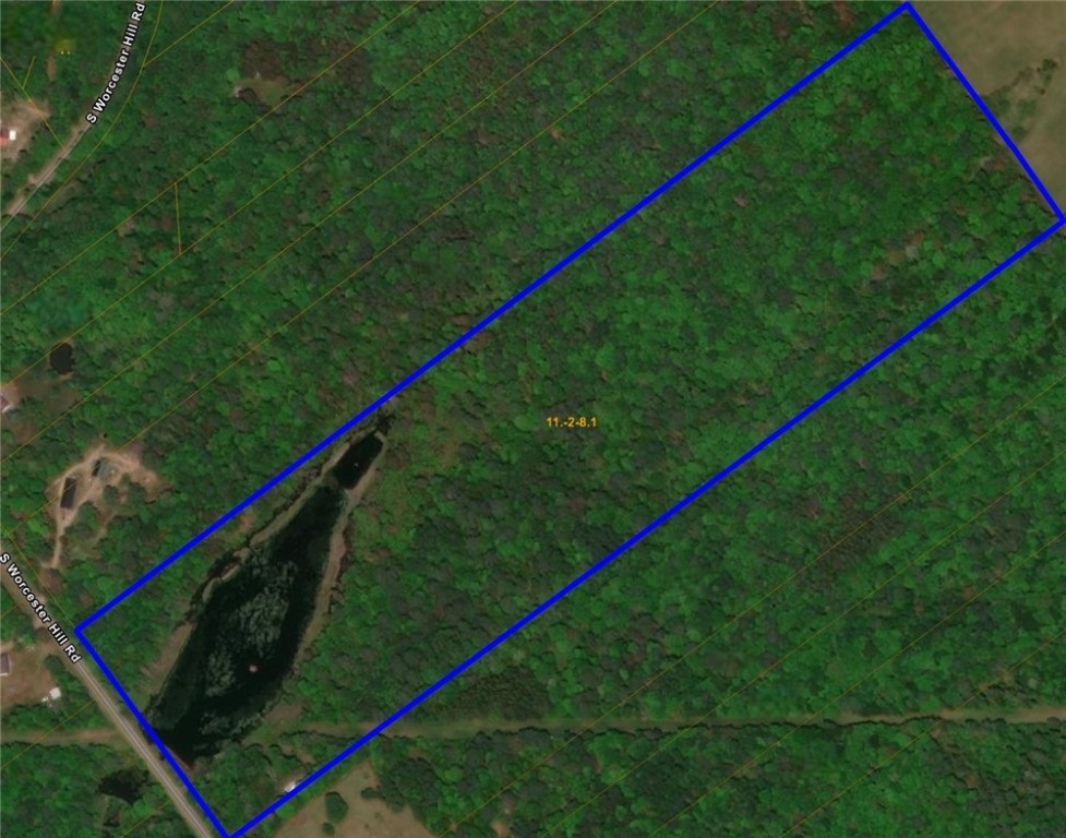 156 South Worcester Hill Road Jefferson, NY 12093 - Photo 50 of 50