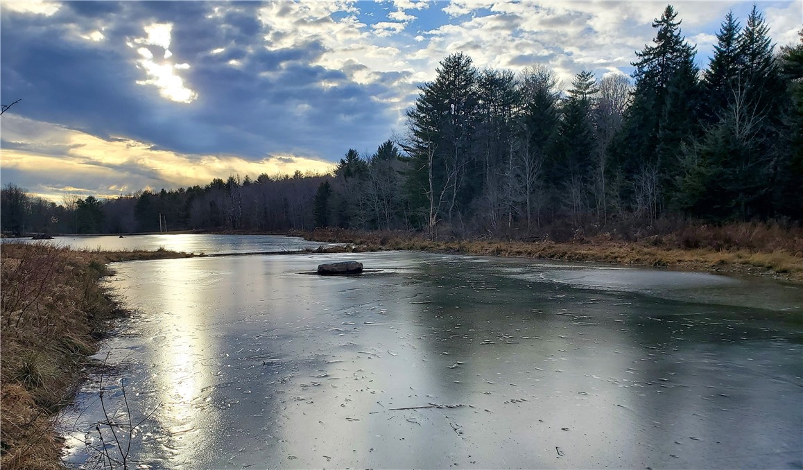 156 South Worcester Hill Road Jefferson, NY 12093 - Photo 5 of 50