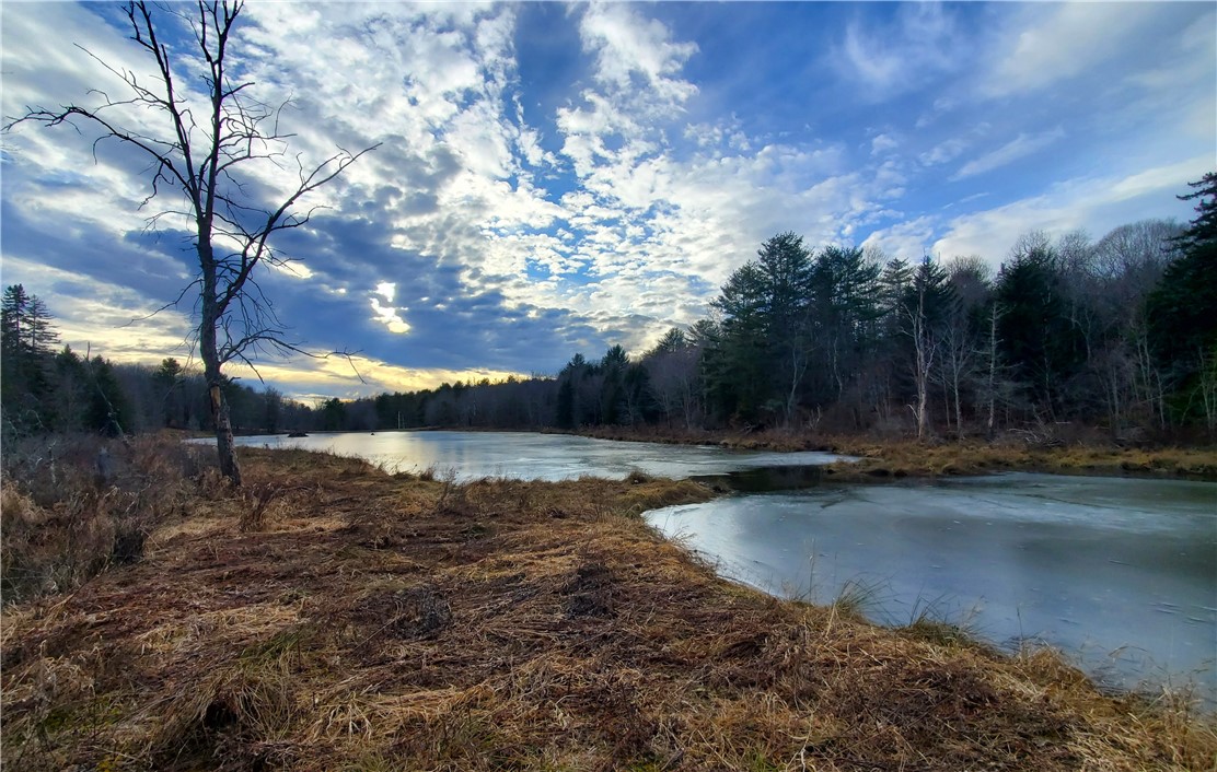 156 South Worcester Hill Road Jefferson, NY 12093 - Photo 6 of 50