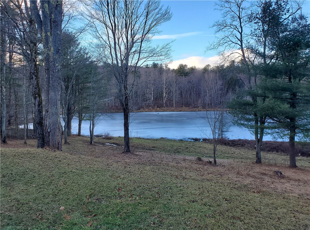 156 South Worcester Hill Road Jefferson, NY 12093 - Photo 7 of 50