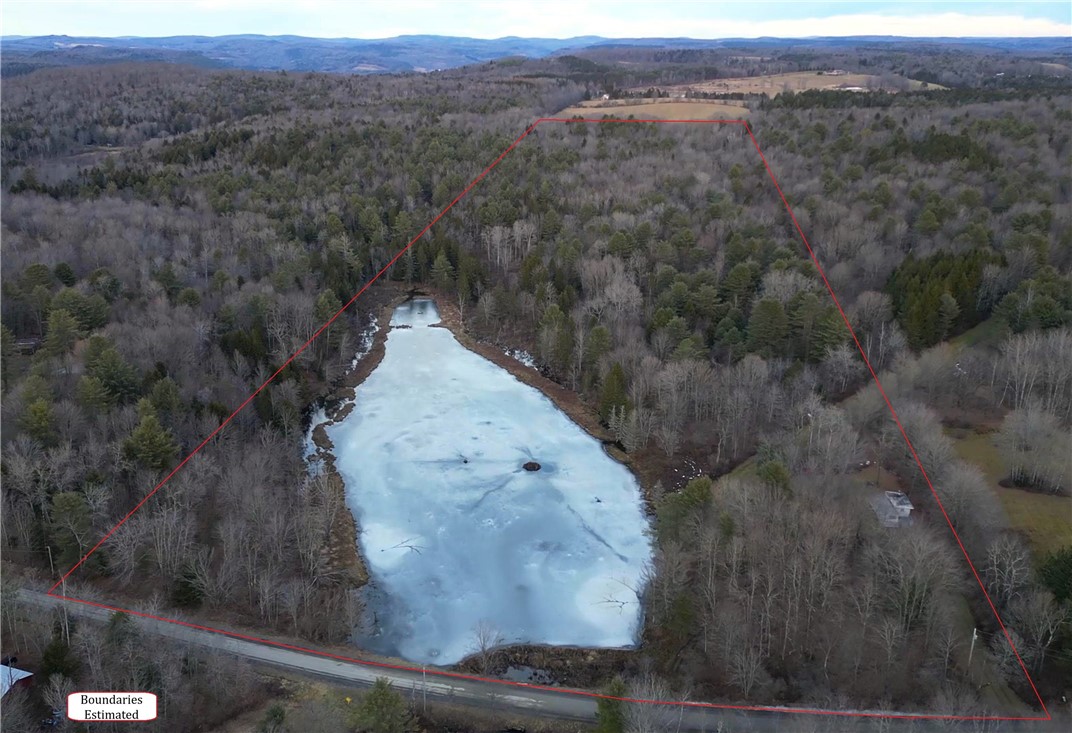 156 South Worcester Hill Road Jefferson, NY 12093 - Photo 8 of 50